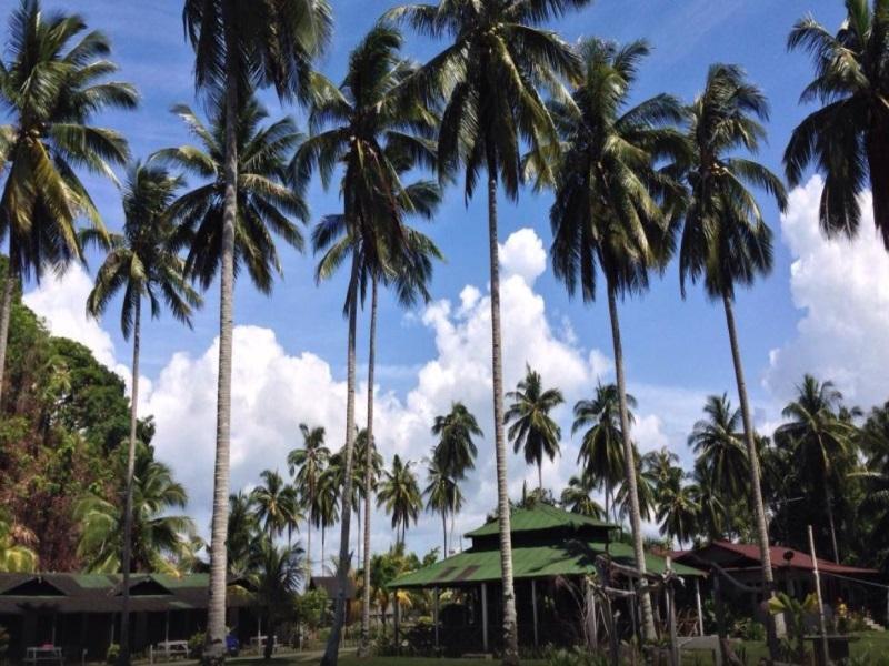 Fishing Bay Resort Mersing Εξωτερικό φωτογραφία